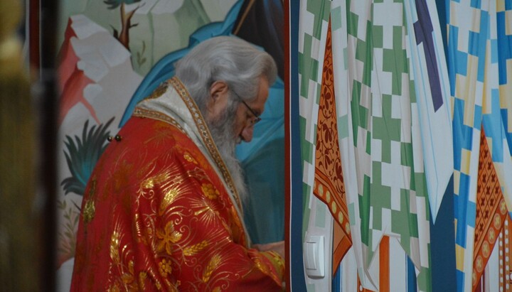 Митрополит Јован. Фото: СПЦ