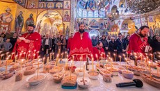 У подгоричком Саборном храму обележене Задушнице