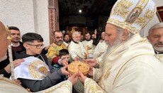 Доњи Брезик обележио преславу