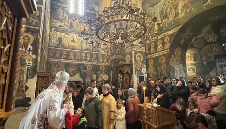 Епископ Теодосије у Грачаници. Фото. СПЦ